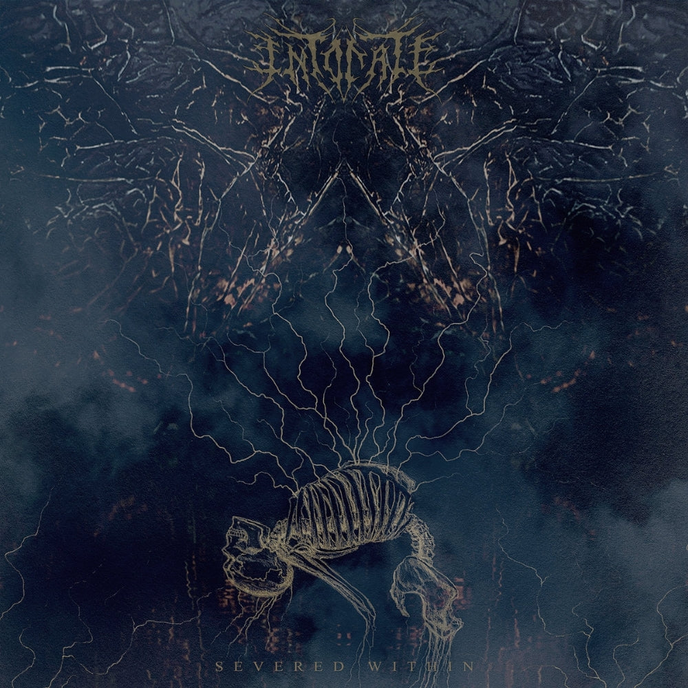 Intonate - Severed Within - LP COLORED - Willowtip