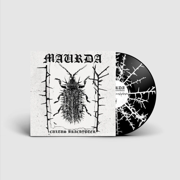 Maurda - Cultus Brachypter - LP - Sentient Ruin