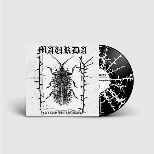 Maurda - Cultus Brachypter - LP - Sentient Ruin