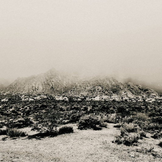 Mizmor - Mnemonic: Ambient Mosaic - LP - PROFOUND LORE