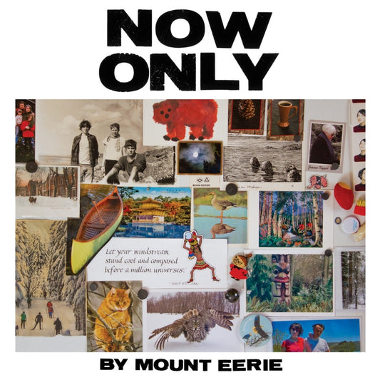 Mount Eerie - Now Only - LP Gatefold - P.W. Elverum & Sun - Image 2