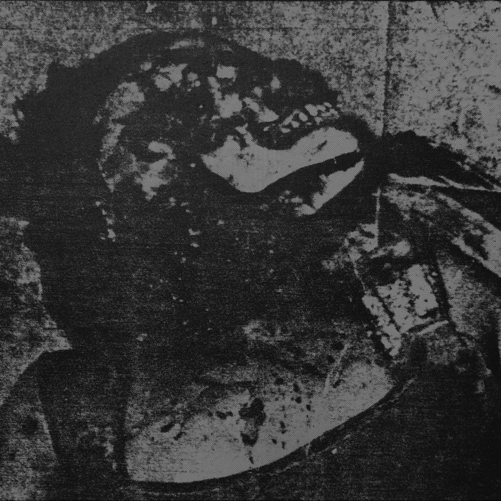 Mutilated Tongue - Fuel the Flame - LP - Armageddon Shop