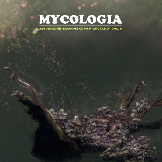 Mycologia - Assorted Mushrooms of New England Vol.2 - LP - Phantom Lure