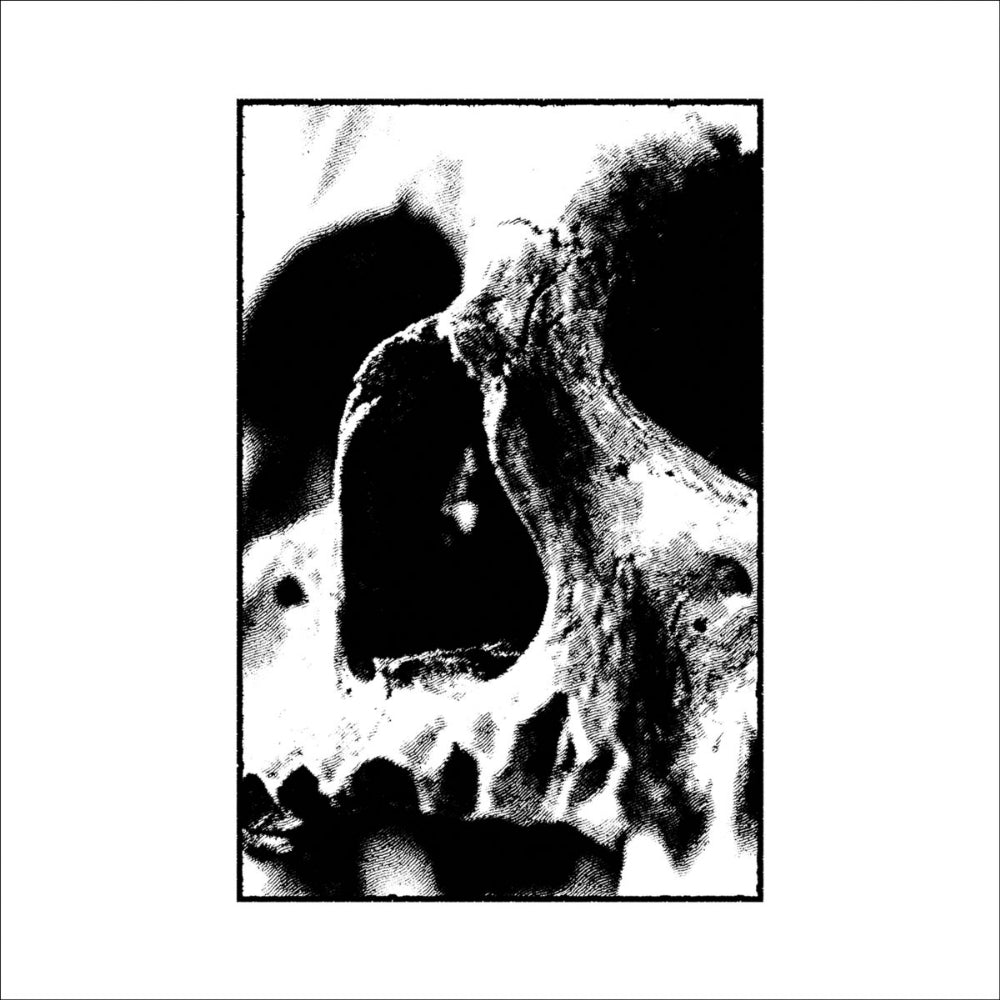 Negativa - 03 - LP + DOWNLOAD CARD - Sentient Ruin - Image 2