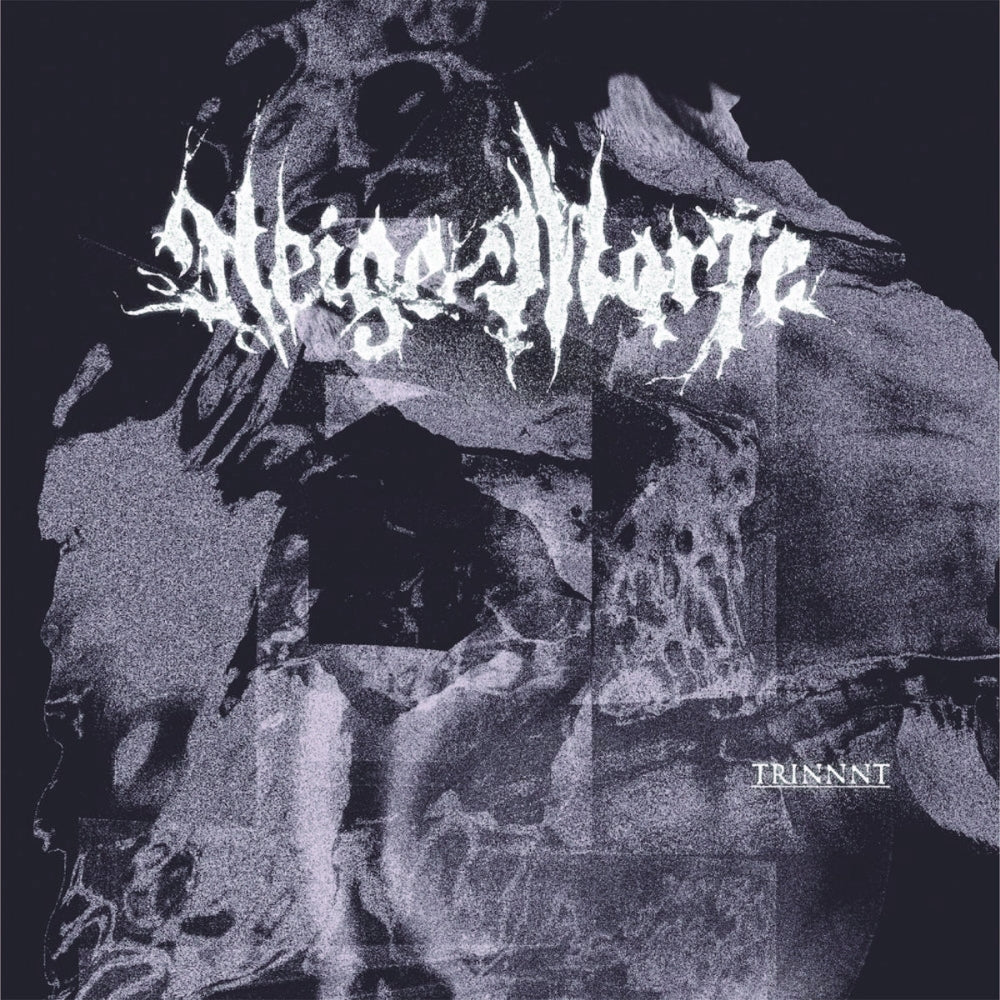Neige Morte - Trinnnt - LP - Dullest