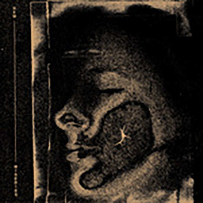 New Miseries - I, Imperfect - CD EP DIGIPAK - Dullest