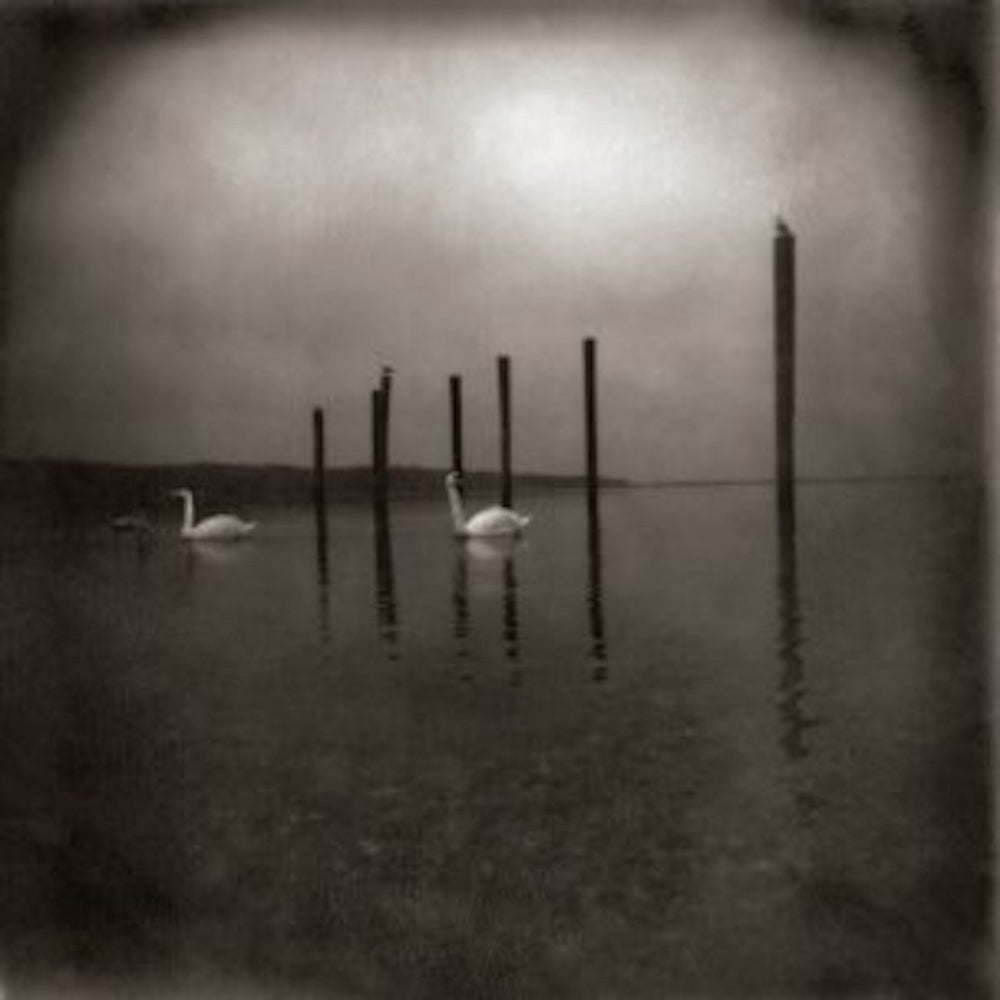 Om - Conference of the Birds - LP - Drag City