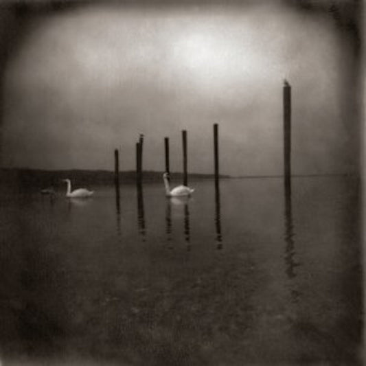 Om - Conference of the Birds - LP - Drag City