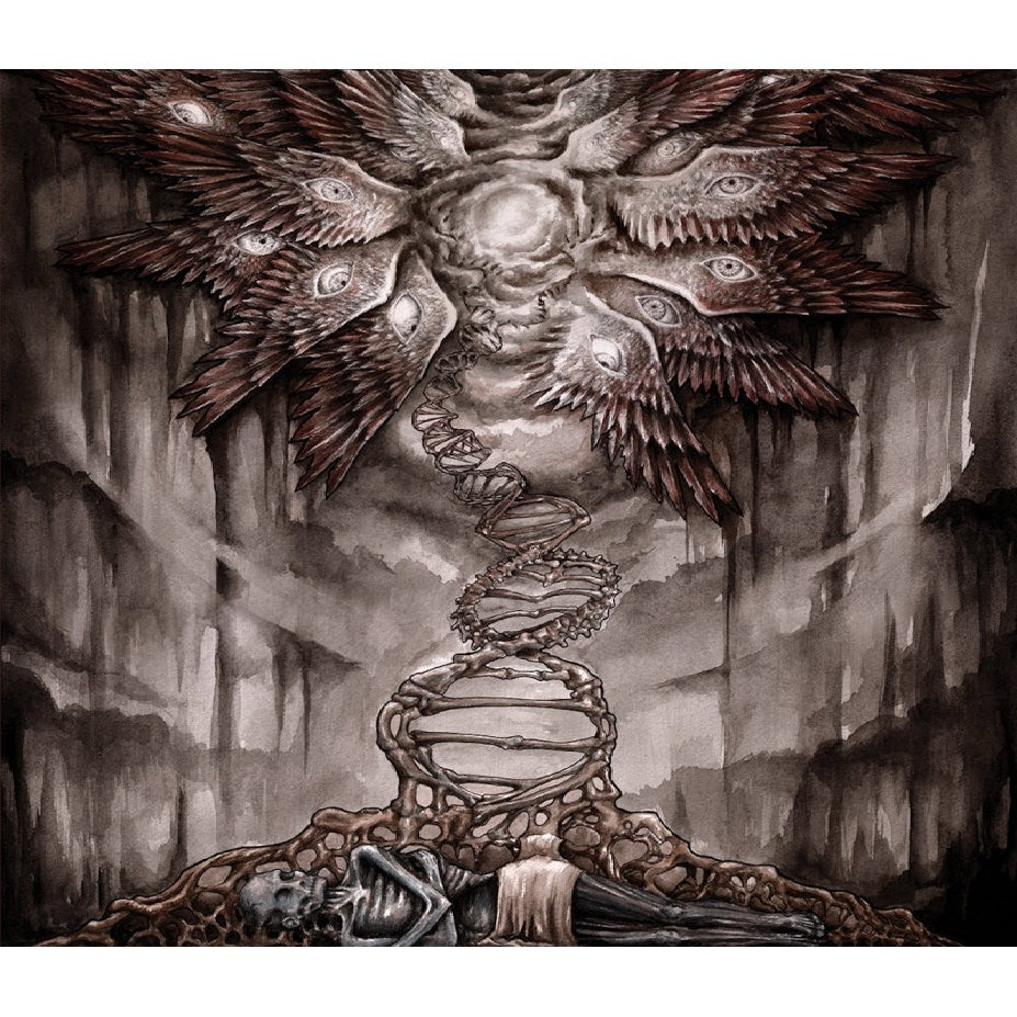Palace of Worms - The Ladder - LP + DOWNLOAD CARD - Broken Limbs Recordings