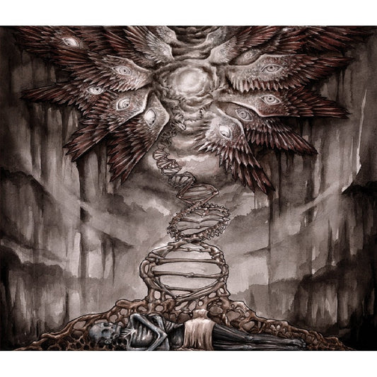 Palace of Worms - The Ladder - LP + DOWNLOAD CARD - Broken Limbs Recordings