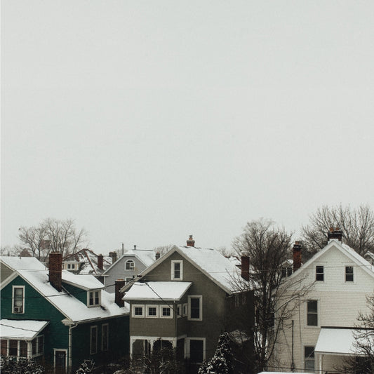 Planning for Burial - Below the House - LP COLORED - The Flenser