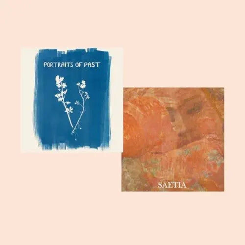 Portraits of Past and Saetia - Split - 7 EP - Ebullition Records