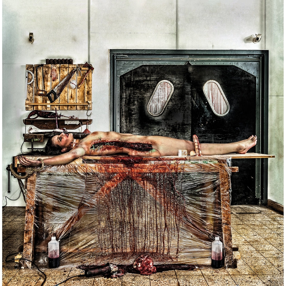 Prostitute Disfigurement - From Crotch to Crown - CD - Willowtip