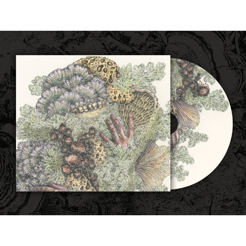 Pyrithe - Monuments to Impermanence - CD DIGIPAK - Gilead Media
