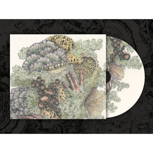 Pyrithe - Monuments to Impermanence - CD DIGIPAK - Gilead Media
