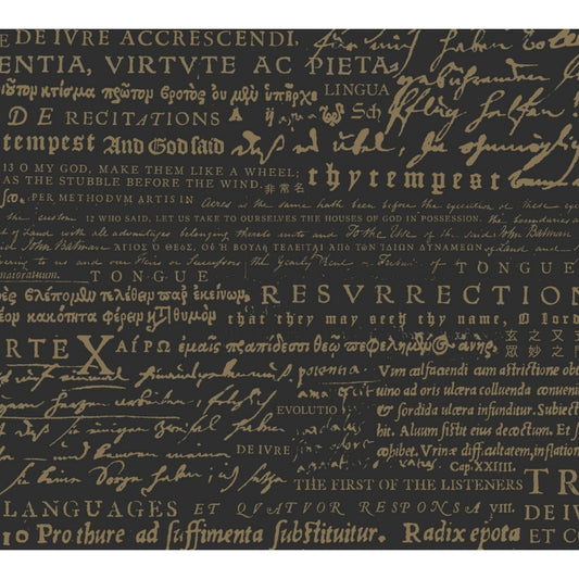 Recitations - The First Of The Listeners - CD DIGIPAK - Avantgarde