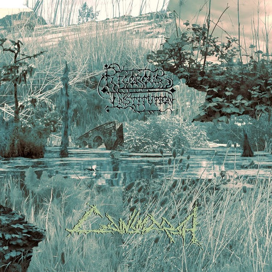 Rigorous Institution - Cainmarsh - CD DIGISLEEVE - Sentient Ruin - Image 2