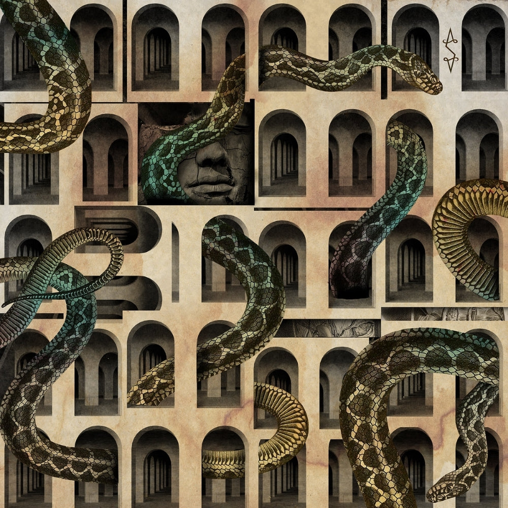 -S- - Dom, w którym mieszkal Waz (A House Where Dwelled A Snake) - CD DIGIPAK - I, Voidhanger Records
