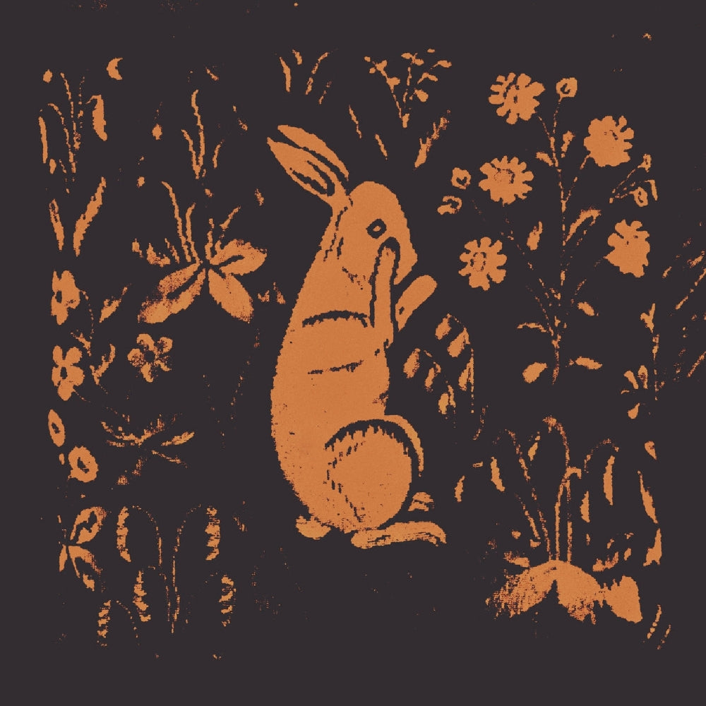 Sadness - ____ (aka the Rabbit Album) - LP COLORED - Flowing Downward - Image 2