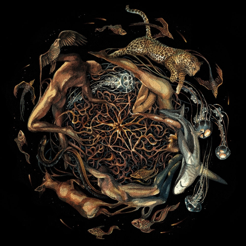 Selcouth - Heart is the Star of Chaos - CD - I, Voidhanger Records - Image 2