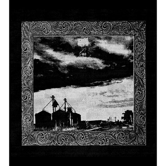 Shum - Pulsating Drums Cleanse The Sky - TAPE - Repose Records