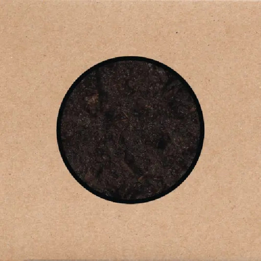 Swans - Birthing - DCD + DVD digipak - Young Gods
