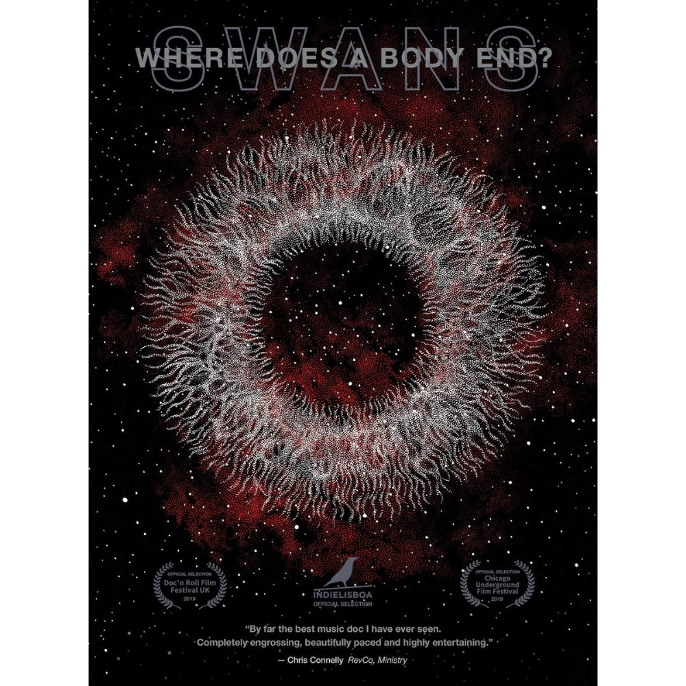 Swans - Where Does a Body End? - DVD - MVD