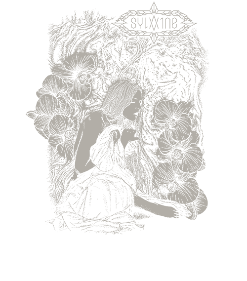 2654-0