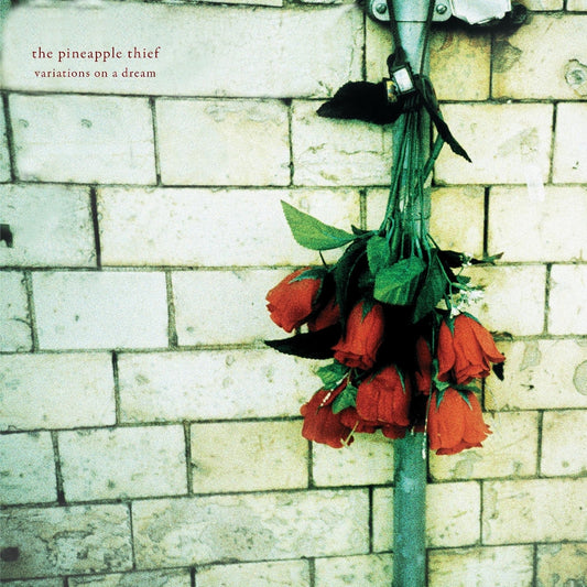 The Pineapple Thief - Variations On A Dream - LP - Kscope