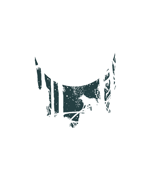 2638-0