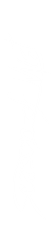 3223-0
