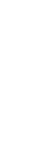 3229-0