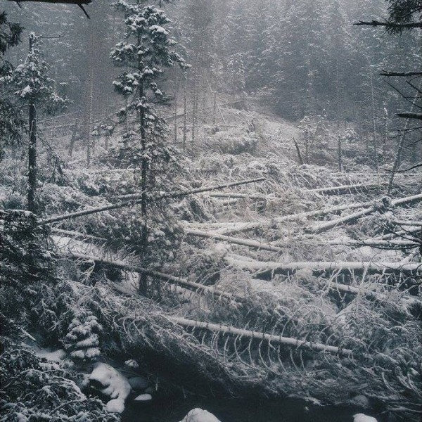 Toska - Toska - MCD - Bindrune