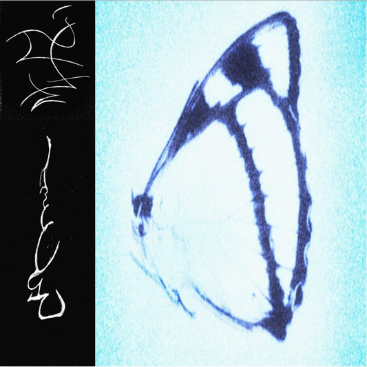 Trhä - Inagape - CD - Flowing Downward