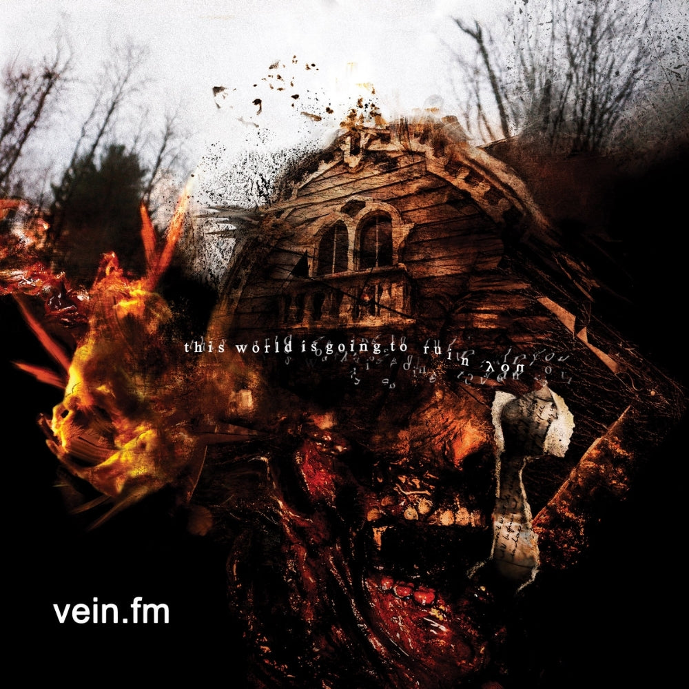 Vein - This World is Going to Ruin You - LP - Closed Casket Activities