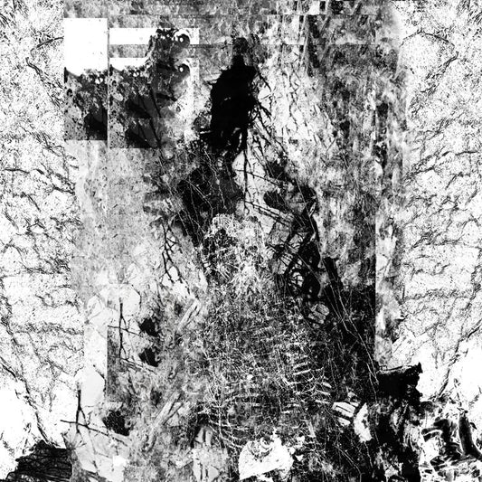 Vessel of Iniquity - The Path Unseen - LP - Sentient Ruin - Image 2