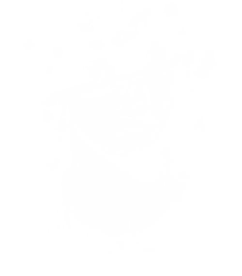 4055-0