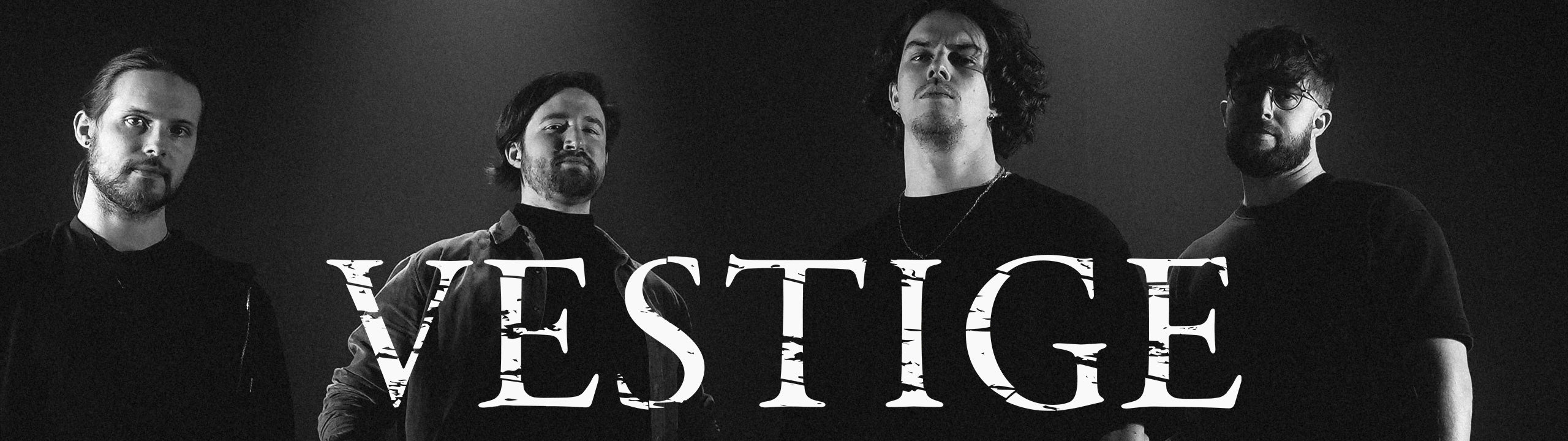 Vestige merchandise and albums