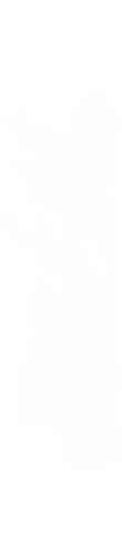3233-0