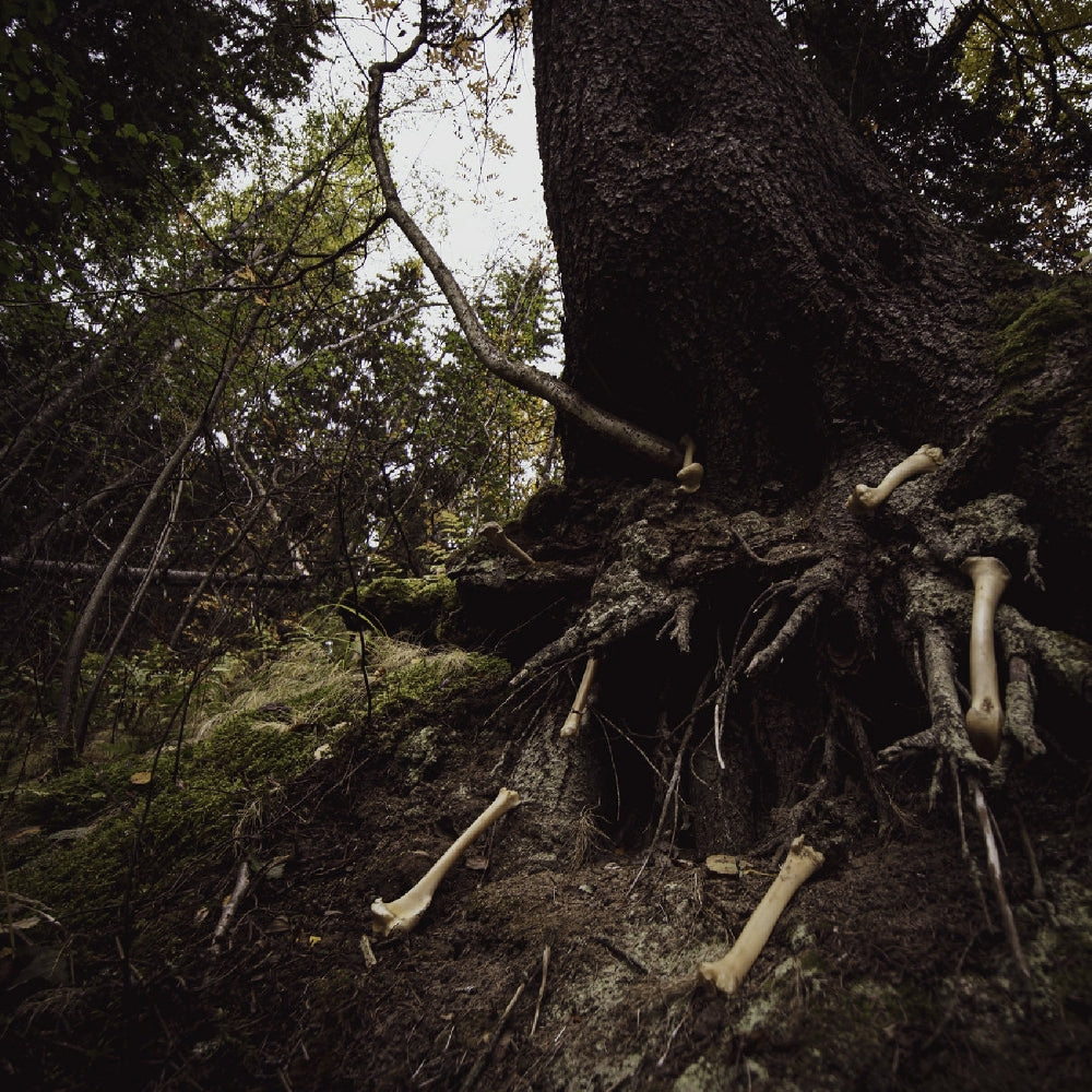 W.A.I.L. and Misantropical Painforest - Dare to Venture Down to Earth... - LP - NUCLEAR WAR NOW