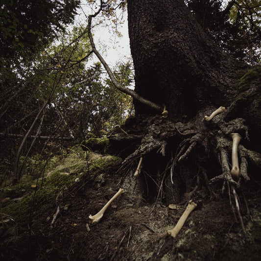 W.A.I.L. and Misantropical Painforest - Dare to Venture Down to Earth... - LP - NUCLEAR WAR NOW