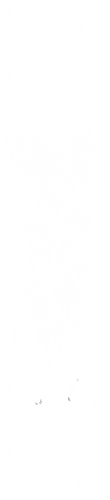 3264-0