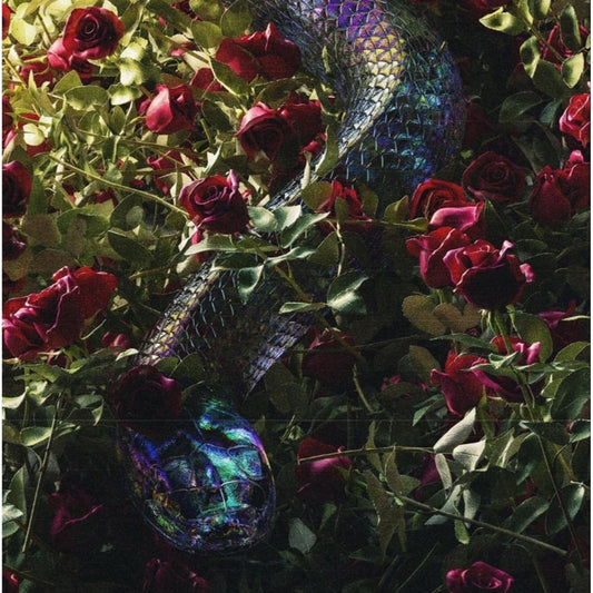 Winterquilt - O'discordia - LP COLORED - Repose Records