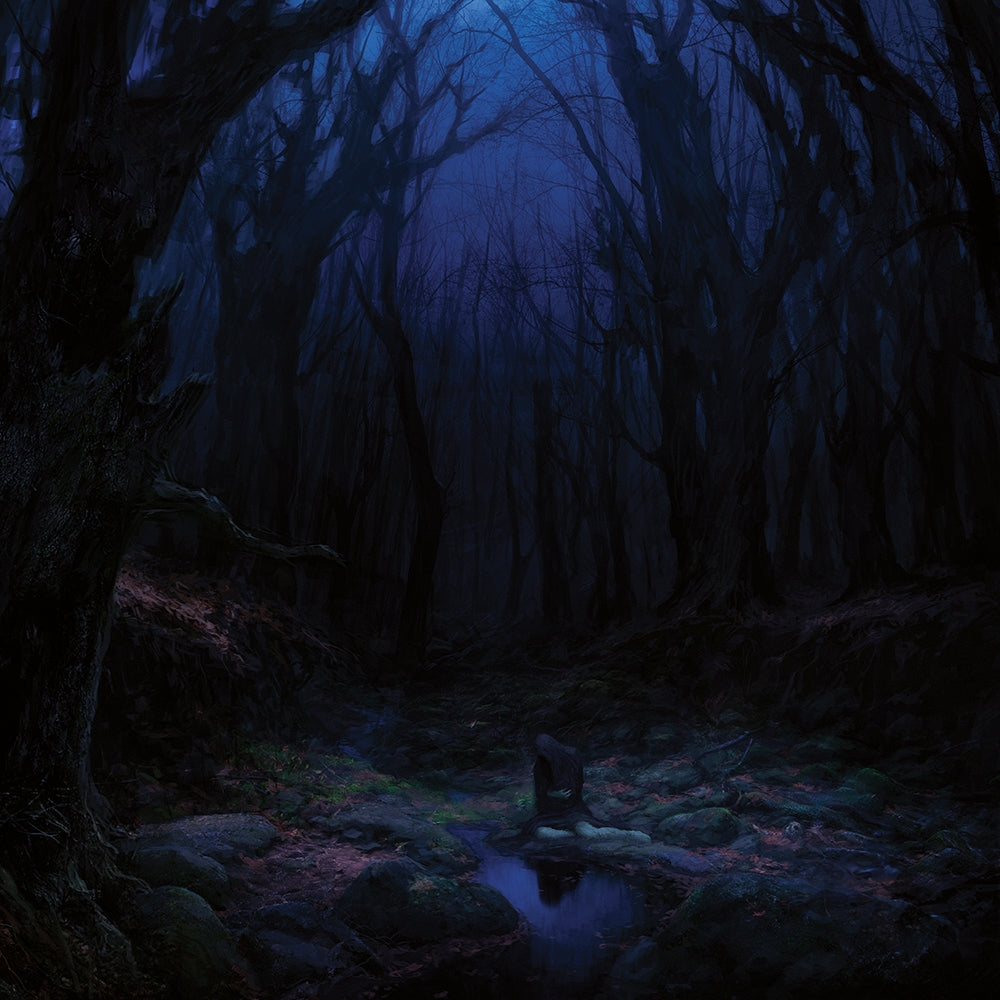 Woods Of Desolation - Torn Beyond Reason - CD DIGIPAK - Underground Activists