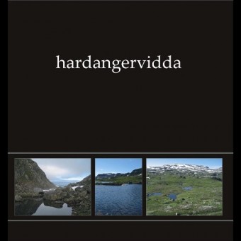 Ildjarn - Nidhogg - Hardangervidda I - LP COLORED