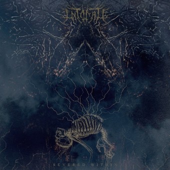 Intonate - Severed Within - LP COLORED