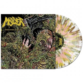 Molder - Engrossed In Decay - LP COLORED
