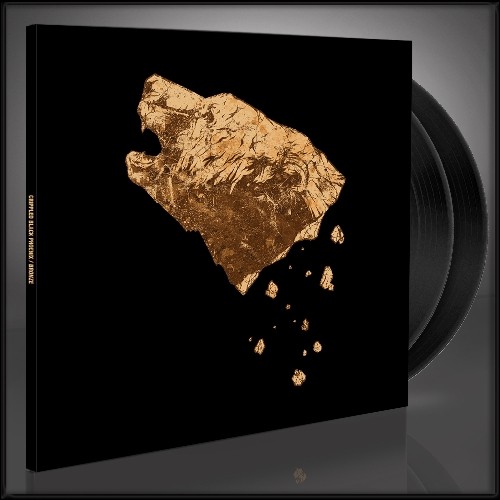 Audio - Vinyl - Bronze - 2LP Gatefold